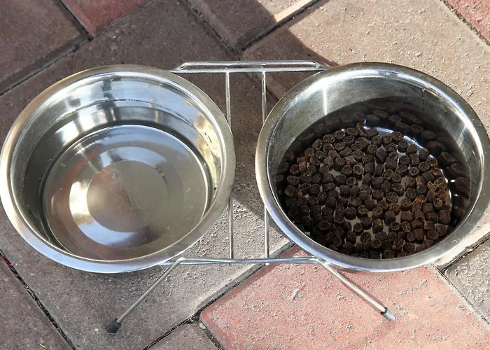 Schweizerhof Sta Maria Hotel