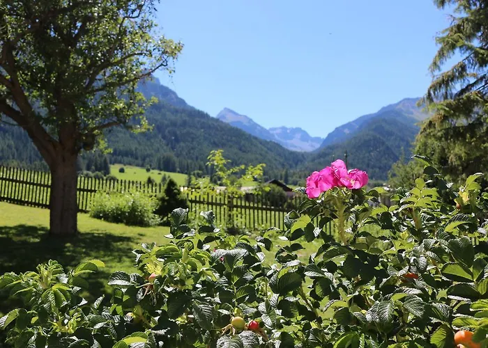 Hotel Schweizerhof Sta Maria 3*